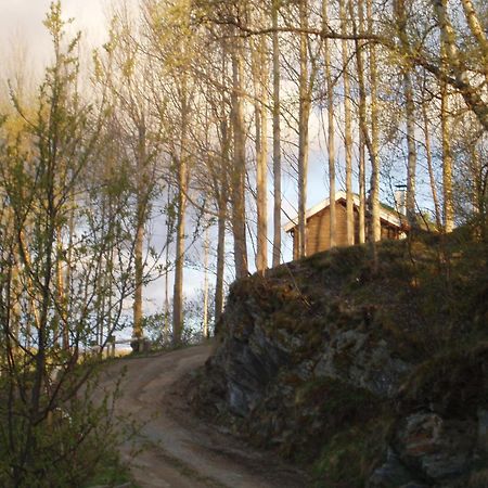 Ivaregga Vinterstua Tolga Dış mekan fotoğraf