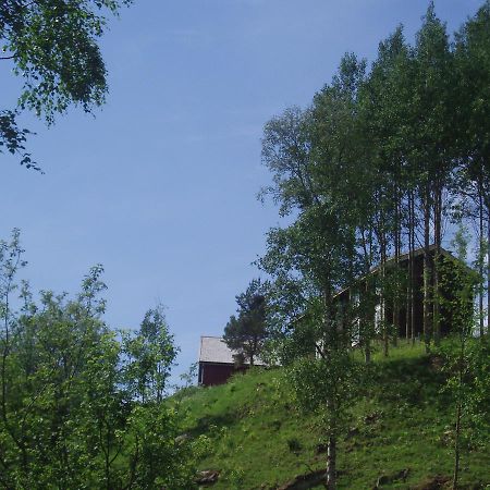 Ivaregga Vinterstua Tolga Dış mekan fotoğraf