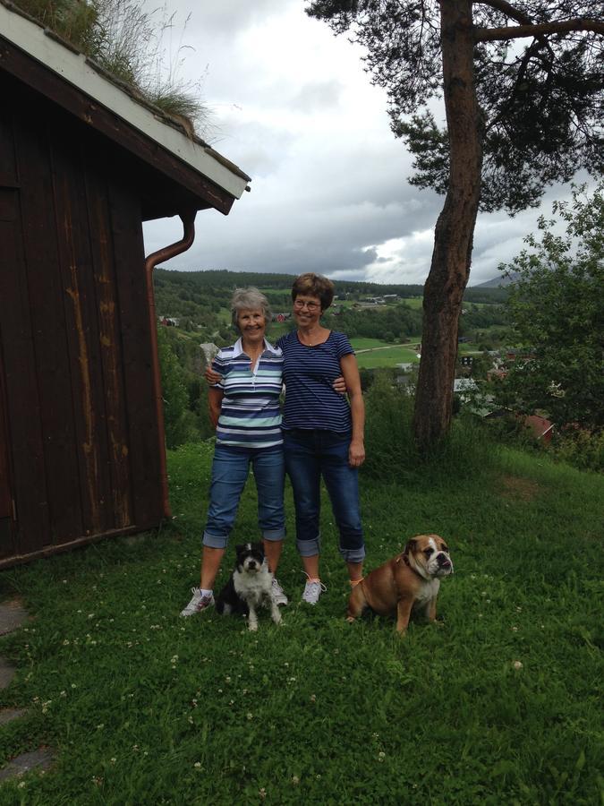 Ivaregga Vinterstua Tolga Dış mekan fotoğraf