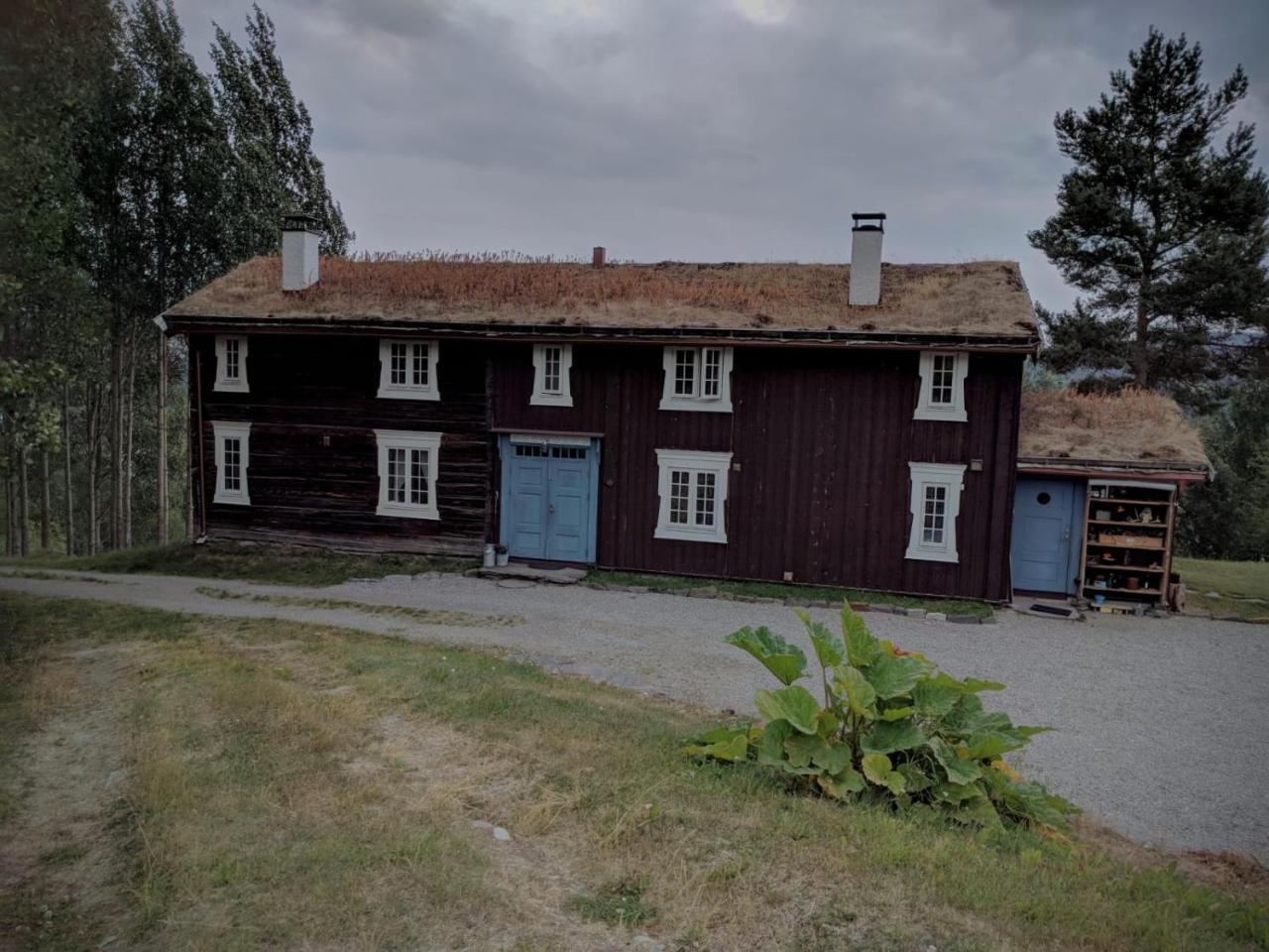 Ivaregga Vinterstua Tolga Dış mekan fotoğraf